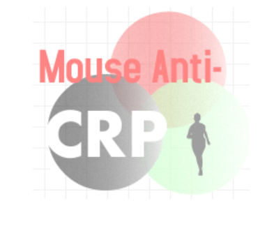 小鼠抗人C反應(yīng)蛋白（Monoclonal Mouse Anti-CRP）