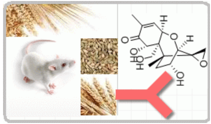 小鼠抗嘔吐毒素（Monoclonal Mouse Anti- deoxynivalenol）