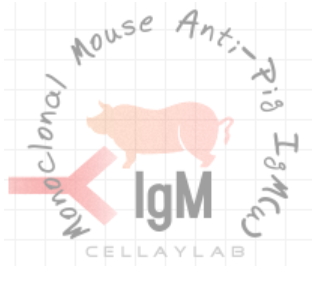 小鼠抗豬IgM(u)（Monoclonal Mouse Anti-Pig IgM(u)）